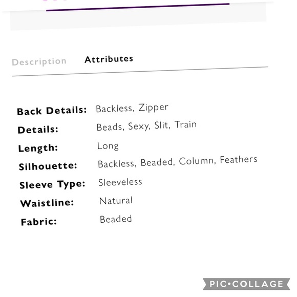 Jasz Couture size 00 - Picture 11 of 12